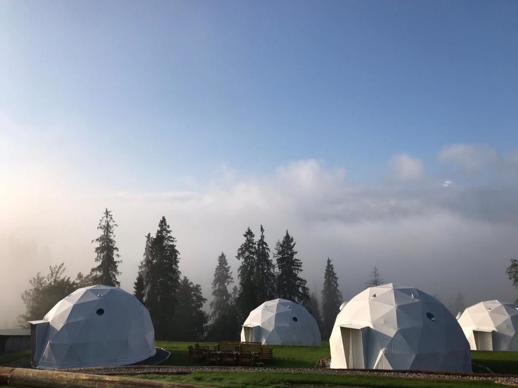 Люкс-шатры Tatra Glamp Буковина-Татшаньска